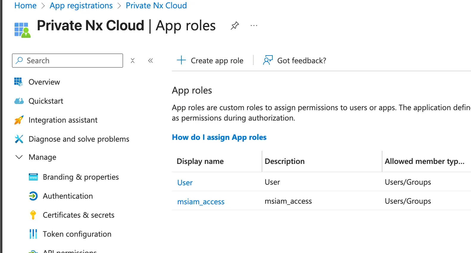 App roles page for the Private Nx Cloud app registration